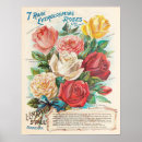 Search for ephemera posters Roses