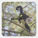 Search for wild side stickers Animals in the wild