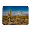 Search for superstition magnets Landscape