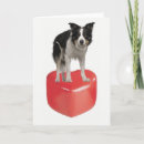Search for border collie valentines day cards Animal