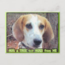 Search for tree hugger postcards Trees