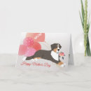 Search for mountain mothers day cards Bernese mountain dog