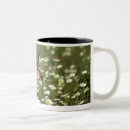 Search for concentration mugs Nature