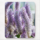 Search for flower closeup mousepads Beautiful