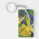 Search for credit key rings Macrophotography