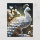 Search for peacock feathers postcards Beautiful