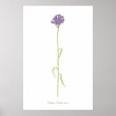 Search for cornflower blue posters Botanical