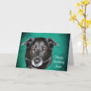 Search for black labrador retriever birthday cards Animal