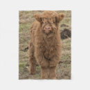 Search for scottish highland cow blankets Bull