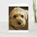 Search for cavapoo cards Dog