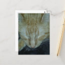 Search for asleep postcards Adorable