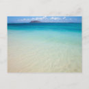 Search for fuerteventura postcards Sand
