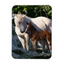 Search for small waterfall magnets Fantasy
