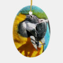 Search for macaw christmas tree decorations Animals