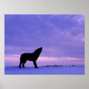 Search for howling dog posters Wolves