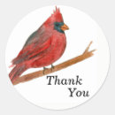 Search for cardinal birds stickers Red bird