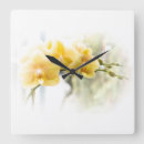 Search for moth clocks Flower