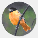 Search for orioles stickers Baltimore oriole