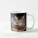 Search for hot like me mugs Cat