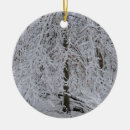 Search for birch trees christmas tree decorations Winter