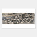 Search for migrating stickers Wildebeest