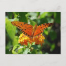 Search for lantana postcards Nature