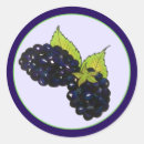 Search for purple berries stickers Berry