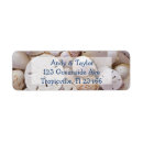 Search for sand dollars return address labels Ocean