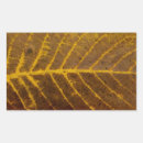 Search for autumn leaf stickers Season