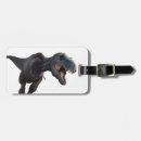 Search for top view travel accessories Illustration