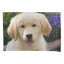 Search for furry pillowcases Animal