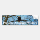 Search for bird watching bumper stickers Eagle