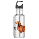 Search for dachshund water bottles Doxie