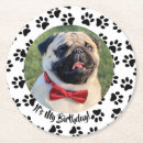 Search for paws coasters Puppy