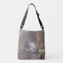 Search for peregrination bags Raptor