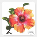 Search for hawaiin stickers Tropical