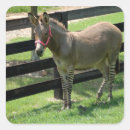 Search for donkeys stickers Nature
