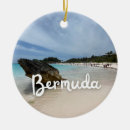 Search for cruise ship christmas tree decorations Boat