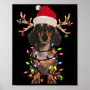 Search for christmas dachshund posters Xmas clearance