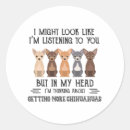 Search for owner gift wrap Chihuahua