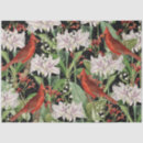 Search for cardinal tissue paper Modern