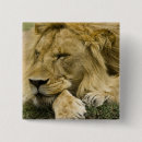 Search for reserves badges Wildlife