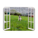 Search for plays magnets Pet