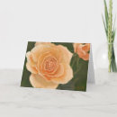 Search for bib cards Flowers