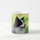 Search for border collie dog mugs Photography