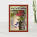 Search for bird get well cards Nature