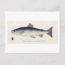Search for green fish postcards Illustration