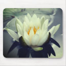 Search for lotus mousepads Blossom