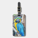 Search for macaw travel accessories Wildlife