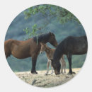 Search for wild mustang stickers Bob langrish